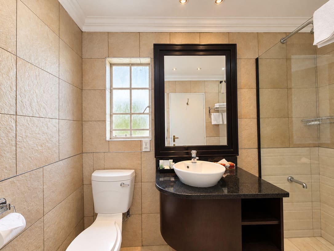 Standard room bathroom 2